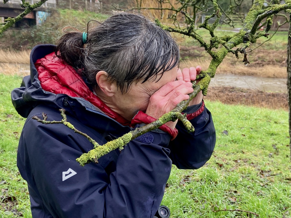 A woman with tied-back grey hair in a navy and red raincoat looks closely at lichen on a tree branch, on a very rainy day