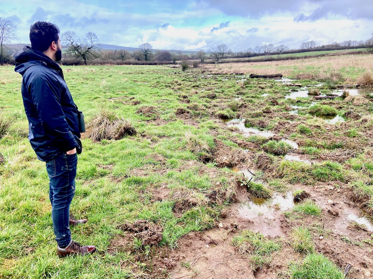 Man with dark hair and beard stands in a field next to a stream